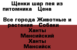 Щенки шар-пея из питомника › Цена ­ 15 000 - Все города Животные и растения » Собаки   . Ханты-Мансийский,Ханты-Мансийск г.